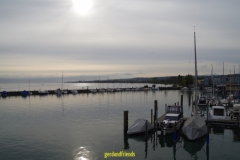 IMGP4096