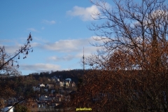 IMGP0022