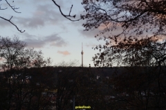 IMGP0034