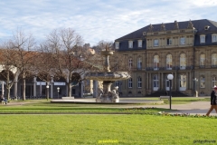 IMGP0137