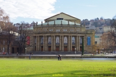 IMGP0139
