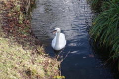 IMGP0156