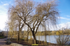IMGP0176