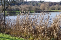 IMGP0179