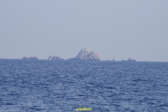 IMGP1227
