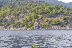 IMGP1244