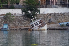 IMGP1255