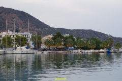 IMGP1256