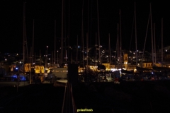 IMGP1338