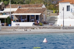 IMGP1407
