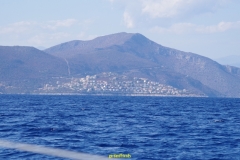 IMGP1456