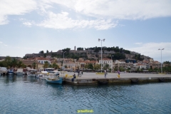 IMGP1493