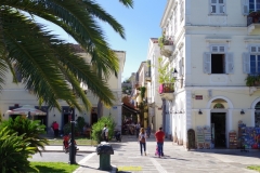 IMGP1539