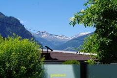 IMGP1932