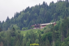 IMGP2313
