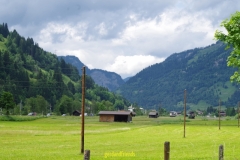 IMGP2320