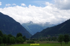 IMGP2353