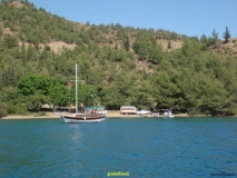 DSC07826