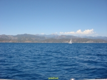 DSC07880