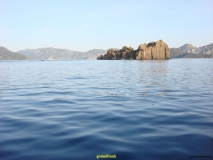 DSC07909