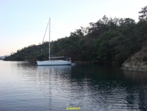 DSC07915