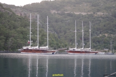 IMGP0831