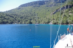 IMGP0844