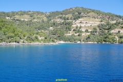 IMGP0845