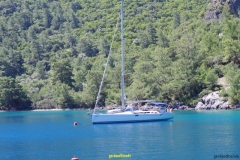 IMGP0858