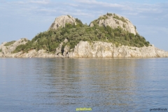 IMGP0878