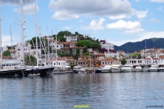 IMGP0955