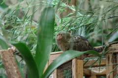 IMGP1821